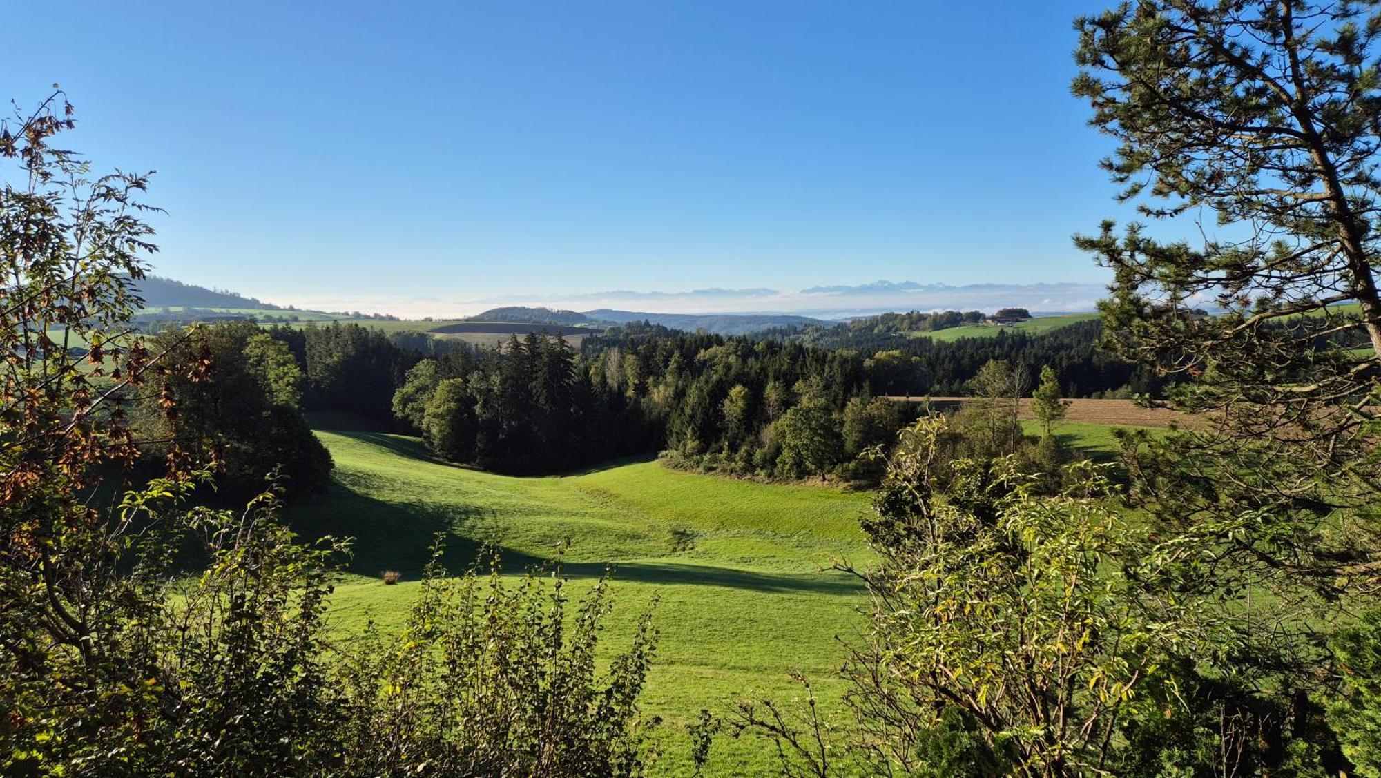 Cottage Alpenblick Gramastetten エクステリア 写真